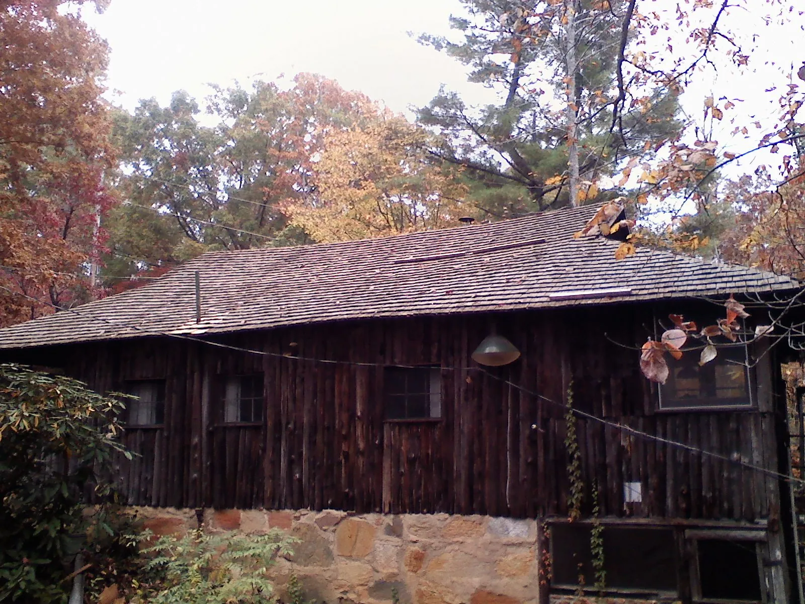 Weathered wood shake roof on a rustic board sided cabin in Wellington